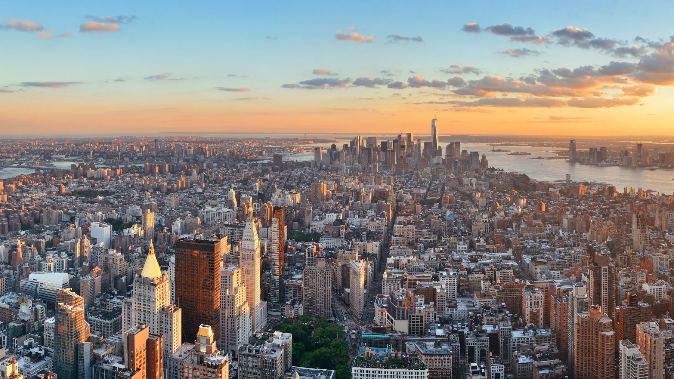 New York Metro Area