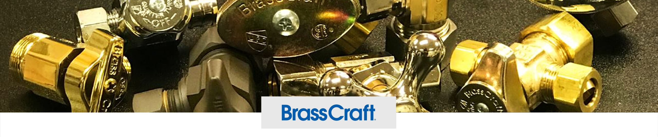 BrassCraft banner